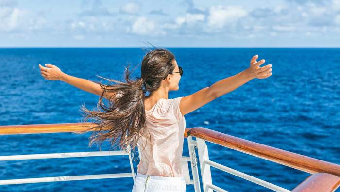 Dolphin watching eating services balcony hms qualität travelers cabins getyourguide passenger